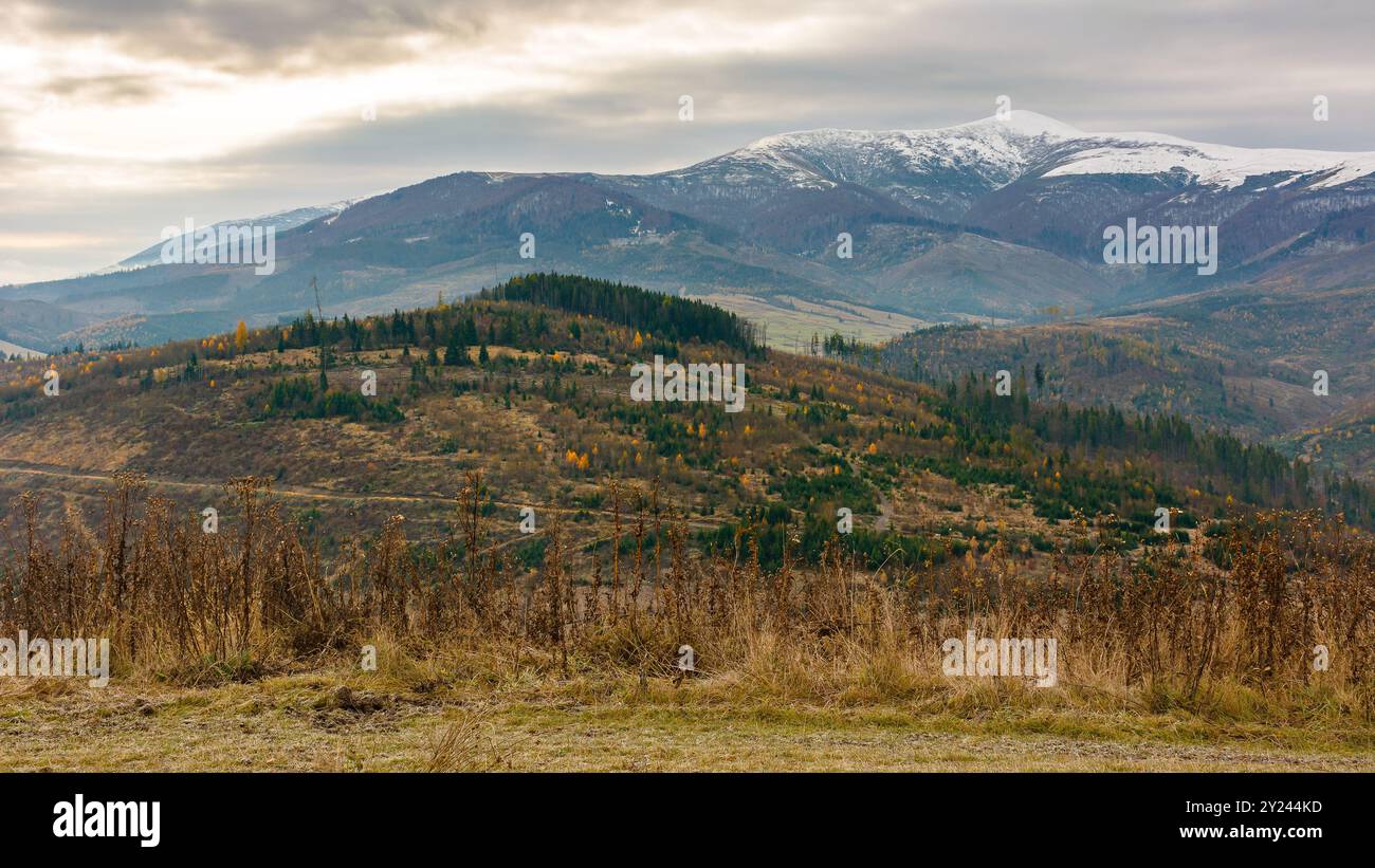countryside landscape with snow capped tops in the distance. gloomy scenery of borzhava ridge with overcast sky in late autumn Stock Photo