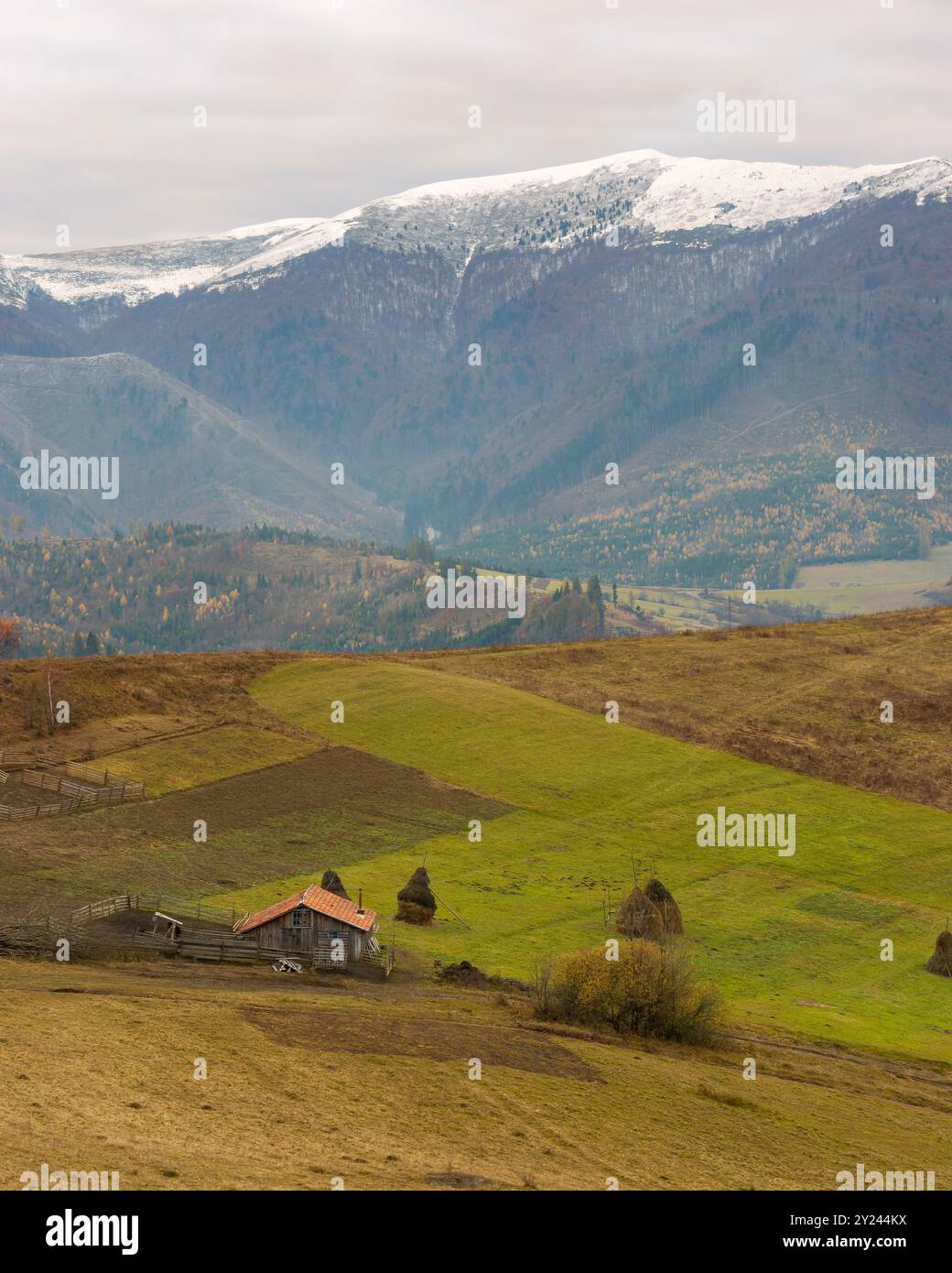countryside landscape with snow capped tops in the distance. gloomy scenery of borzhava ridge with overcast sky in late autumn. carpathian rustic high Stock Photo