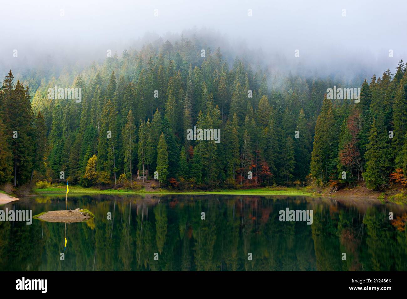 gorgeous mountain lake in autumn fog. lovely nature scenery with coniferous forest. surface of water reflects the beauty of exquisite landscape. adven Stock Photo