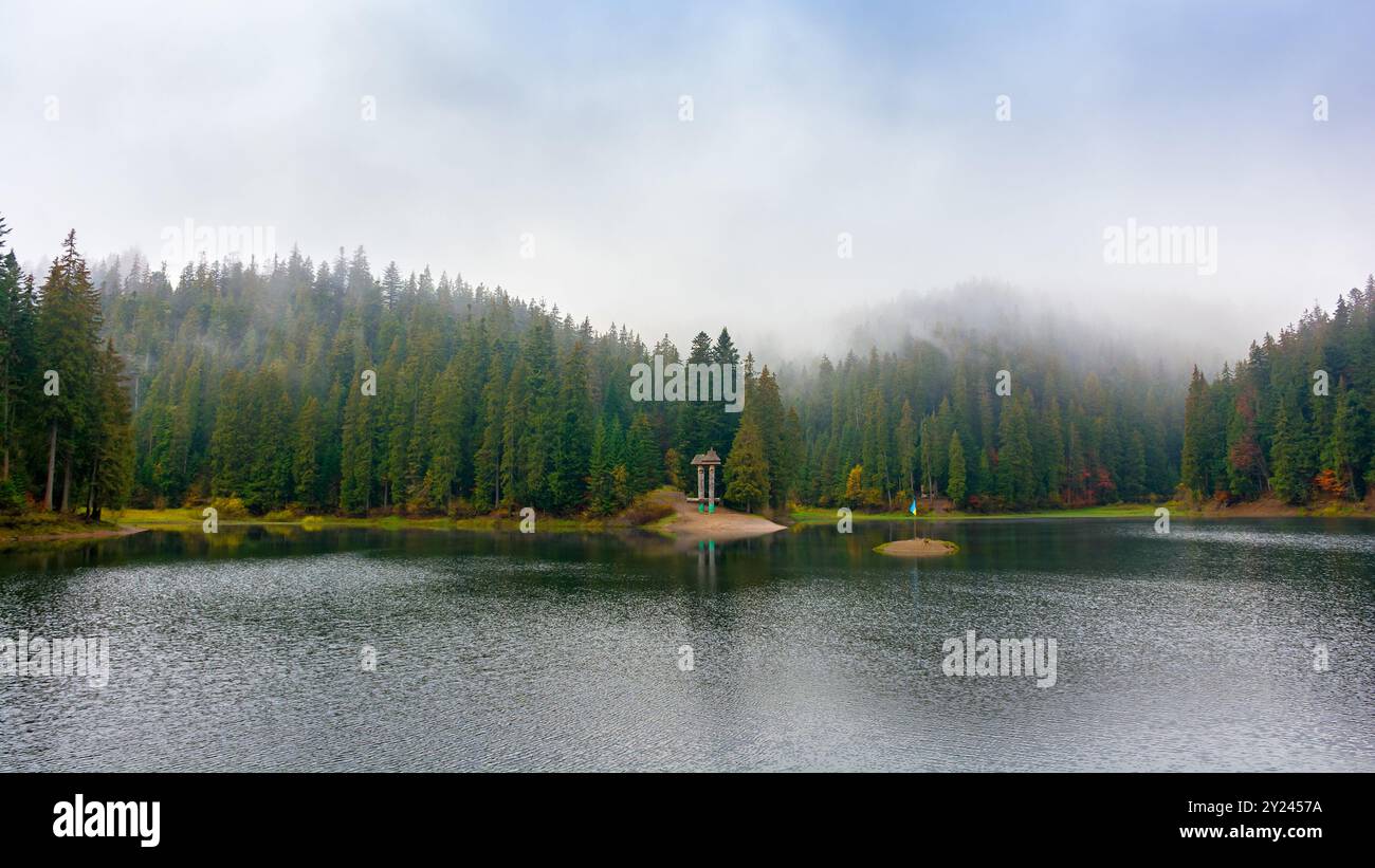 gorgeous mountain lake in autumn fog. lovely nature scenery with coniferous forest. surface of water reflects the beauty of exquisite landscape Stock Photo