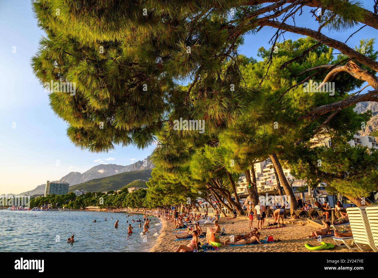 People Sunbathing On A Beach In Makarska Riviera On The Adriatic Sea people-sunbathing-on-a-beach-in-makarska-riviera-on-the-adriatic-sea