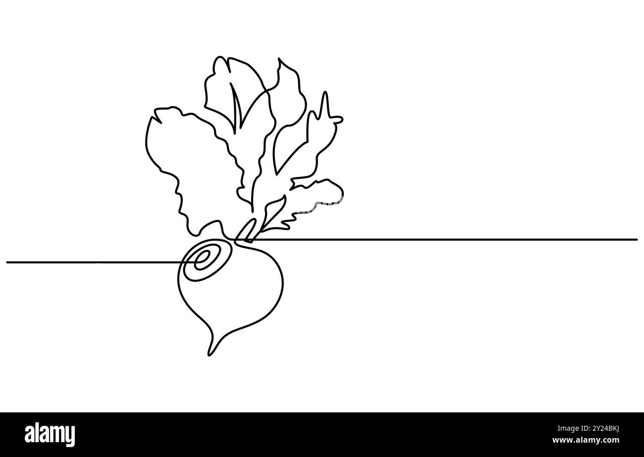 Beetroot in continuous line art drawing Beetroot style. Garden beet ...