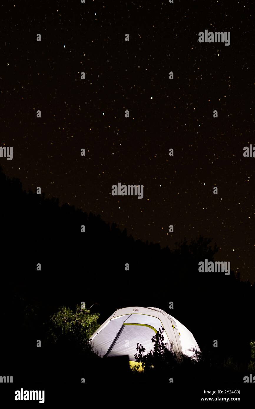 Tent illuminated under a starry night sky in a forest Stock Photo - Alamy