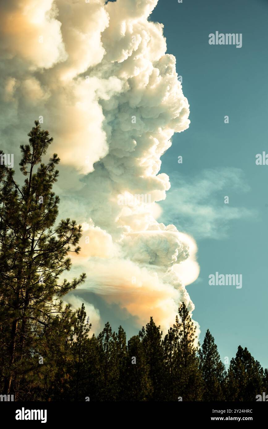 Thick smoke billows sky hi-res stock photography and images - Alamy