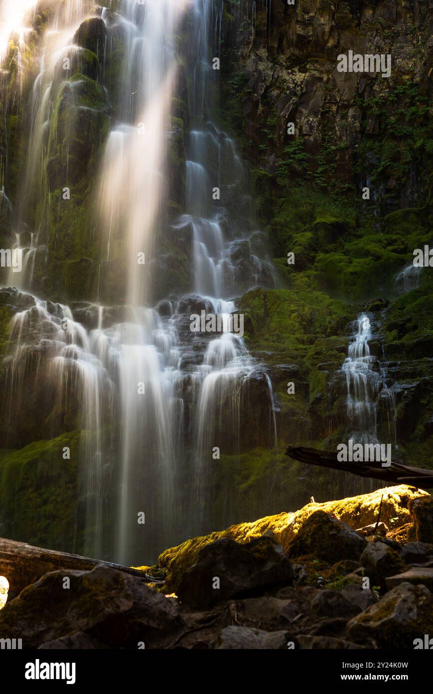 Cascading water flowing over moss-covered rocks at Proxy Falls. Stock Photo