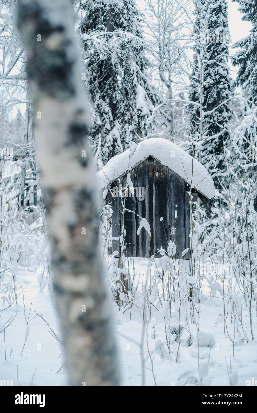 Wooden cabin the snowy arctic wilderness forest in Rovaniemi, Lapland ...