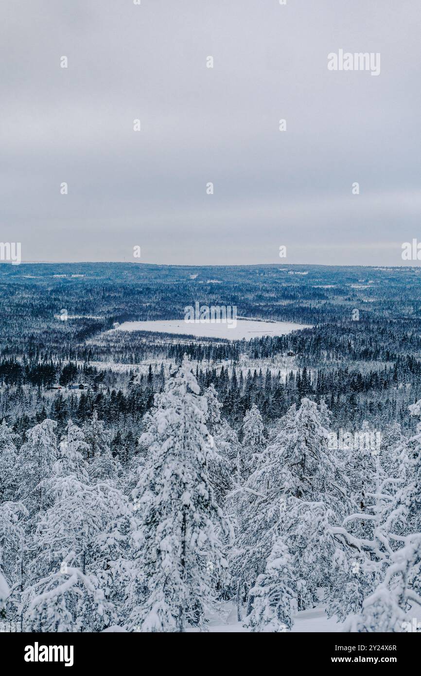 Frozen lake in the middle of snowy forests in Rovaniemi, Lapland Stock ...