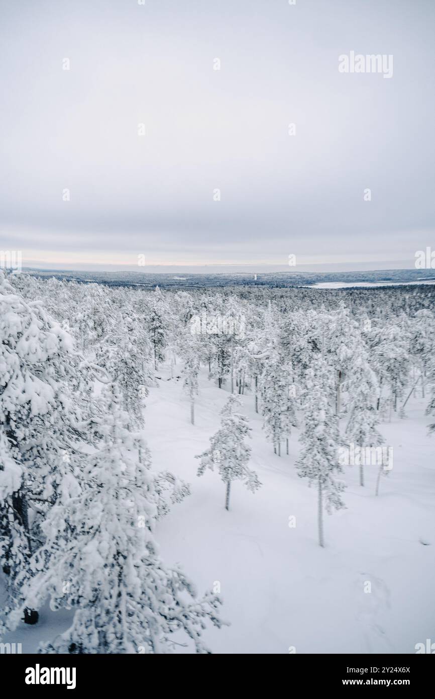 Forest Near Rovaniemi Snowy winter forest in Rovaniemi, Lapland Stock Photo - Alamy