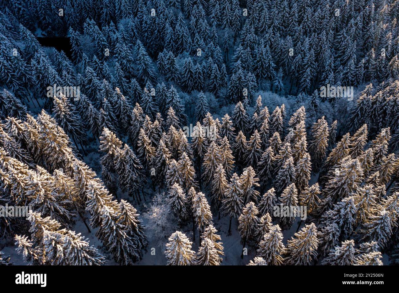 Oberhof in winter in the Thuringian Forest in Germany Stock Photo