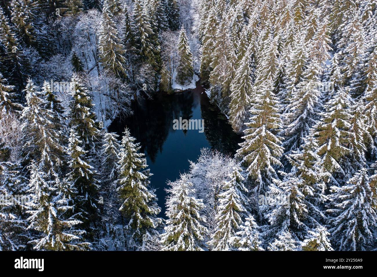 Oberhof in winter in the Thuringian Forest in Germany Stock Photo
