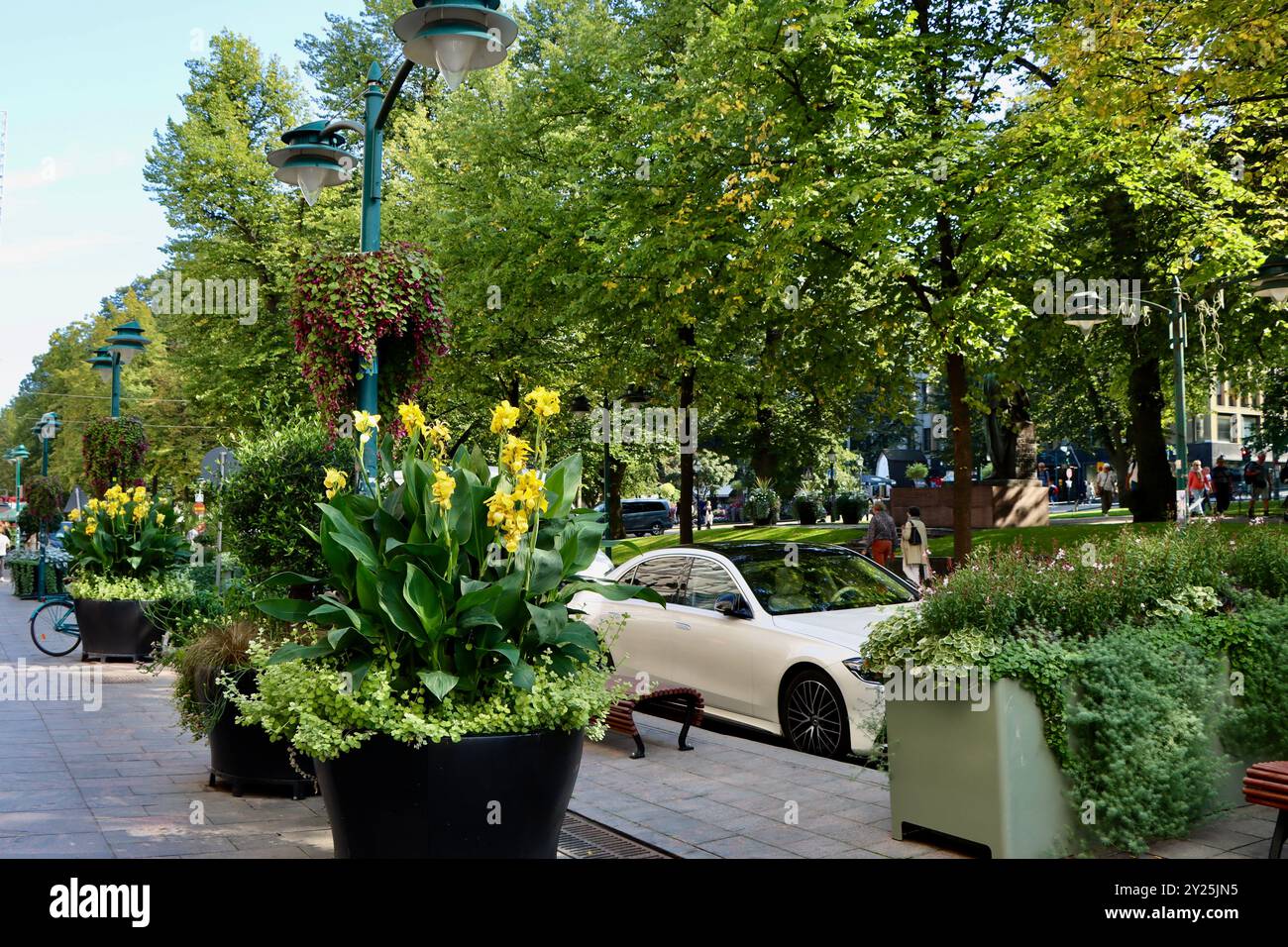 Extensive large pots of plantings of summer flowers and foliage on Pohjois Esplanadi street in central Helsinki, Finland Stock Photo