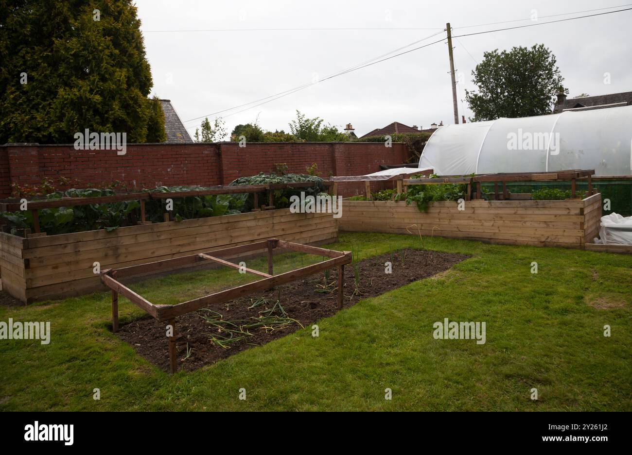 disabled-gardening-hi-res-stock-photography-and-images-alamy