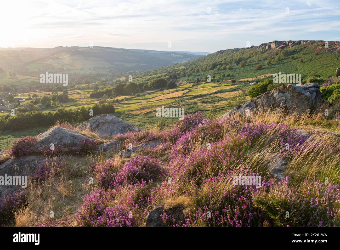 Heather at Baslow Edge in the Peak District National Park, Derbyshire ...