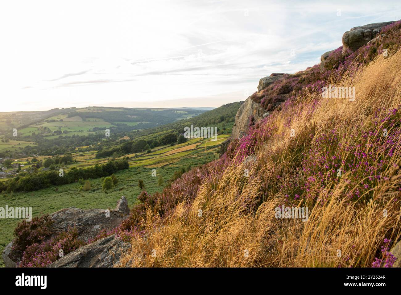 Heather at Baslow Edge in the Peak District National Park, Derbyshire ...