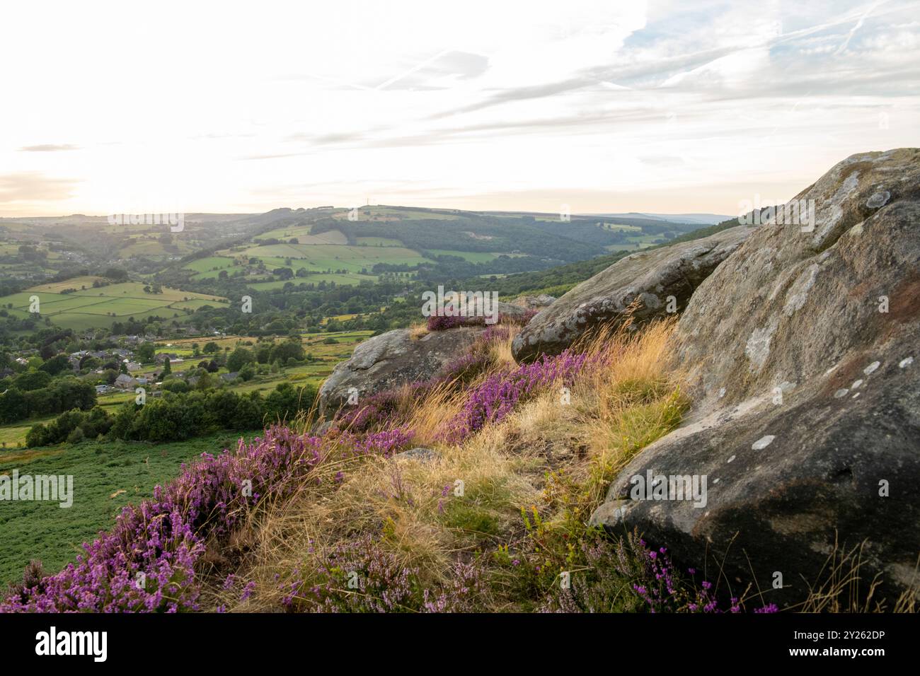 Heather at Baslow Edge in the Peak District National Park, Derbyshire ...