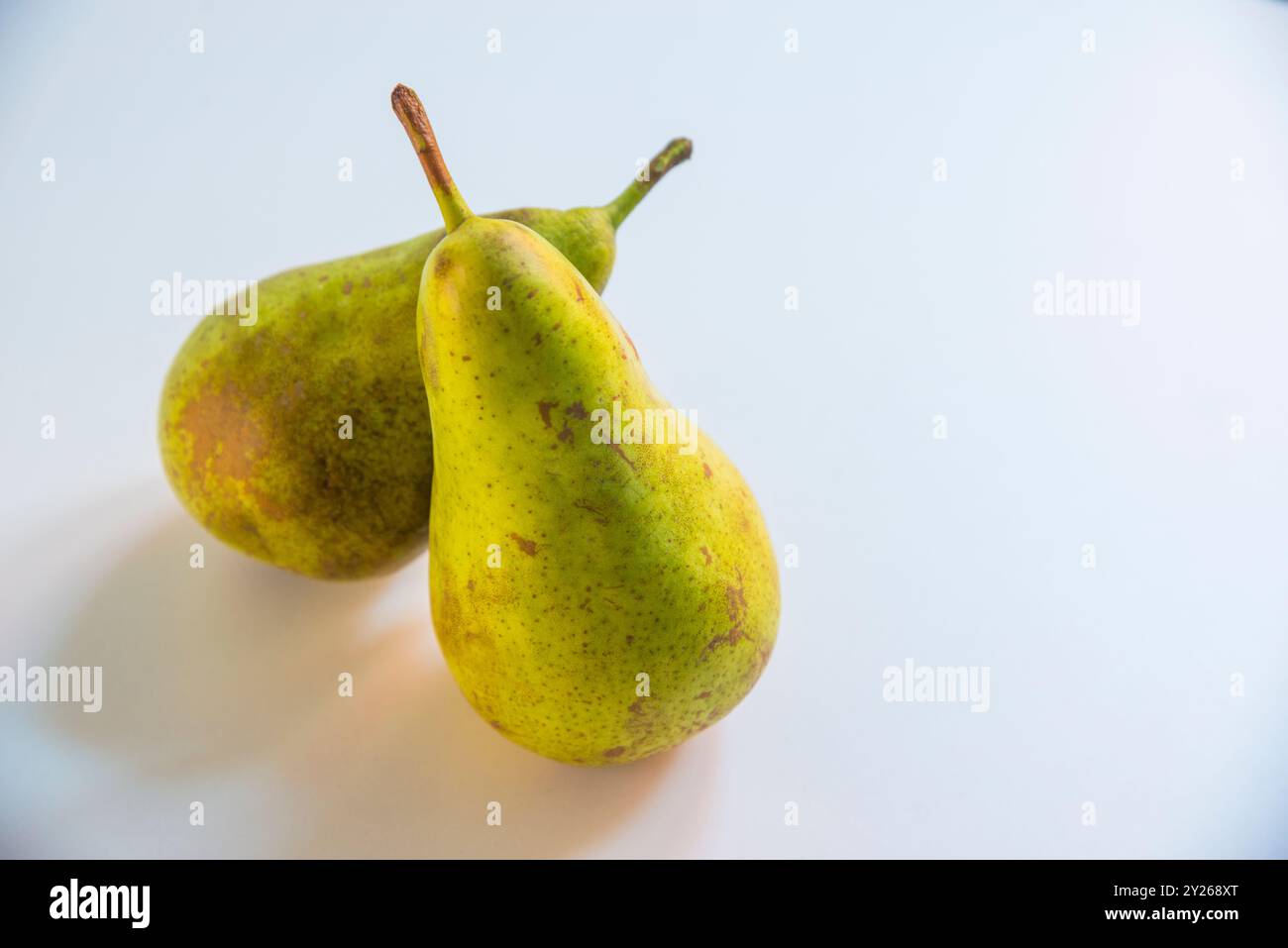 Two pears. Still life. Stock Photo