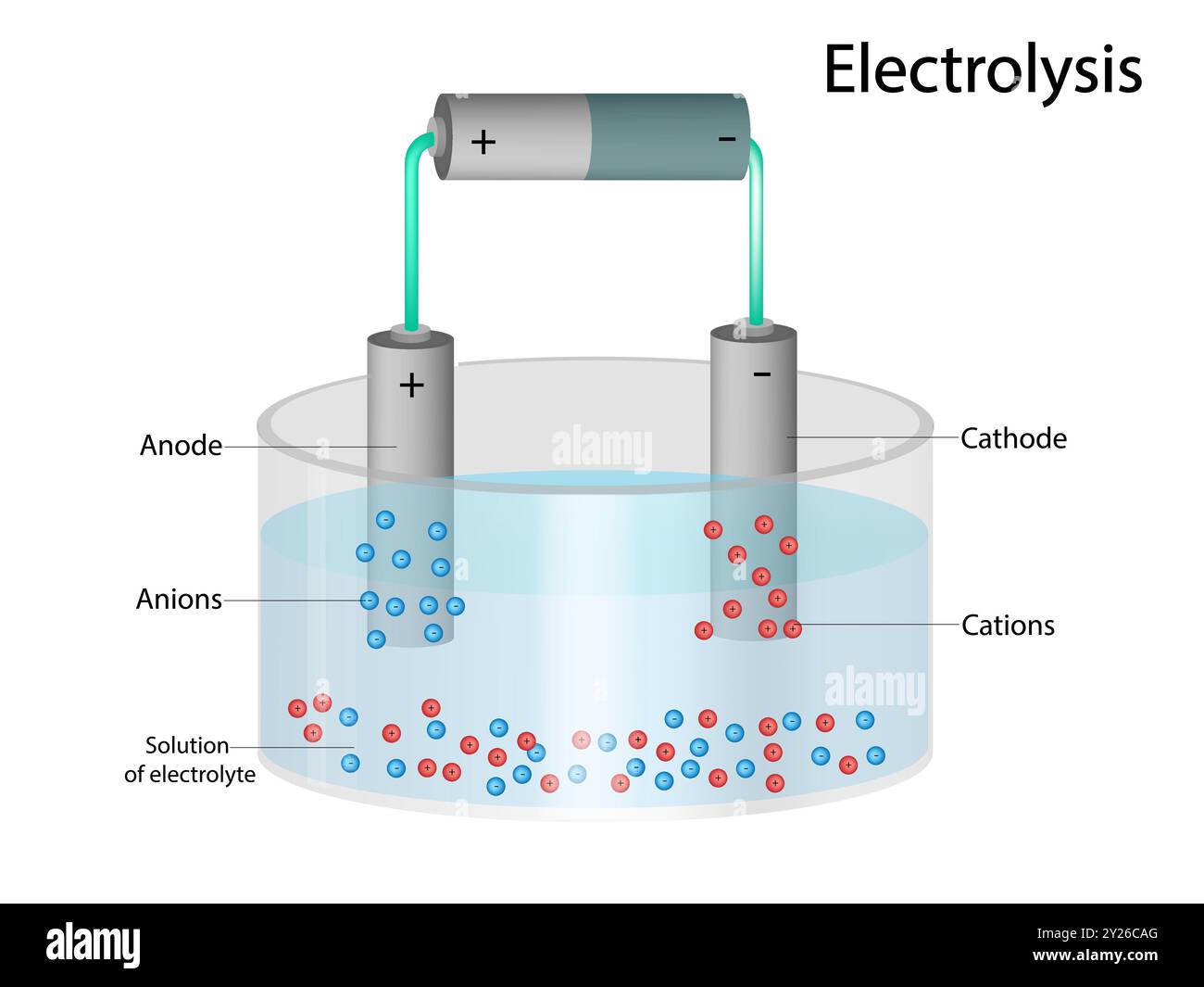 Electrolysis. Solution of electrolyte. Cations and Anions. Cathode and Anode Stock Vector Image