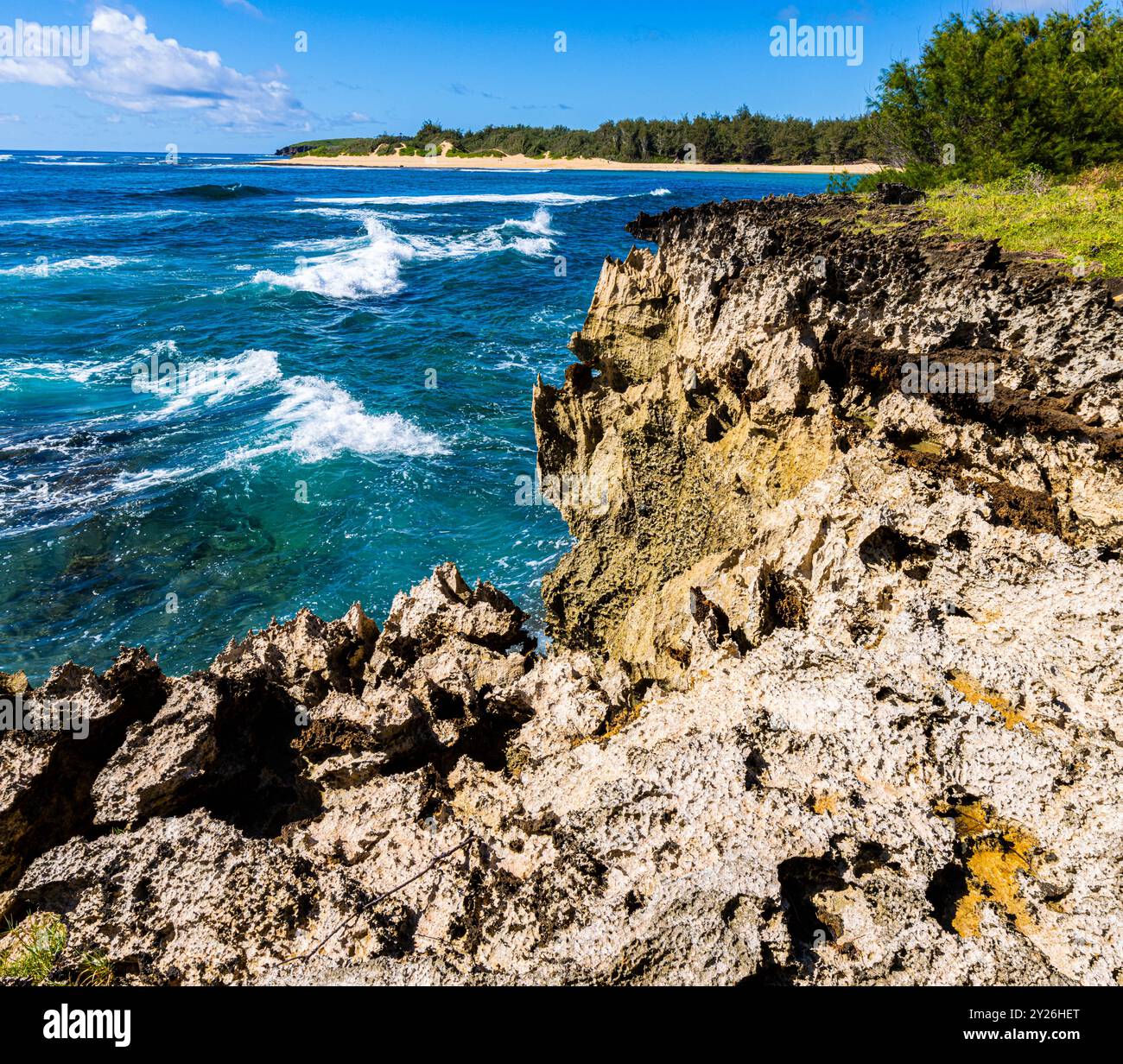 Lithified Rock Ledges Overhanging Kawailoa Bay From The Bluff on The Mahaulepu Heritage Trail , Kauai, Hawaii, USA Stock Photo