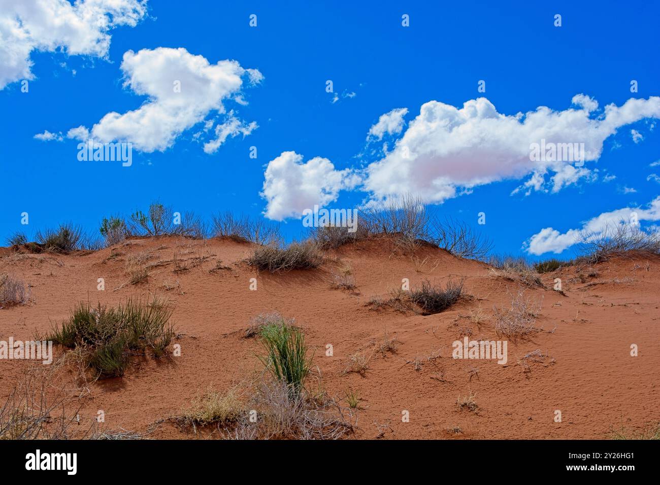 Native american red cloud hi-res stock photography and images - Alamy