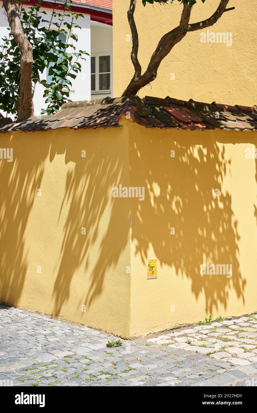 Gelbe Mauerecke mit Schatten eines Baums im grellen Sonnenlicht Stock Photo