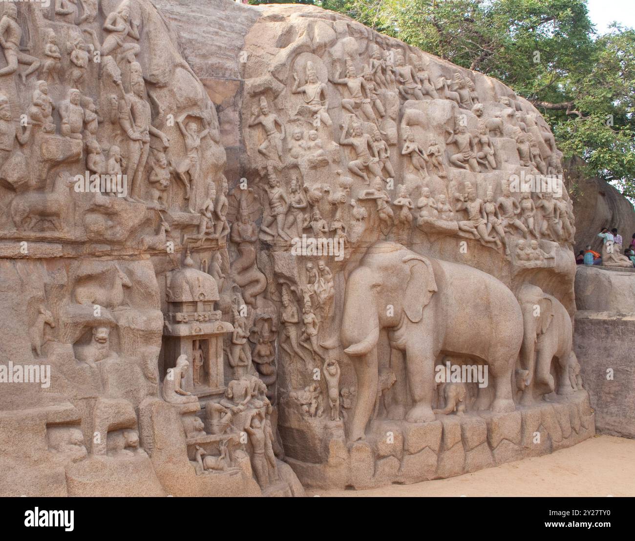 Monolithic rock carving, Arjuna's Penance, Mahabalipuram, Tamil Nadu ...