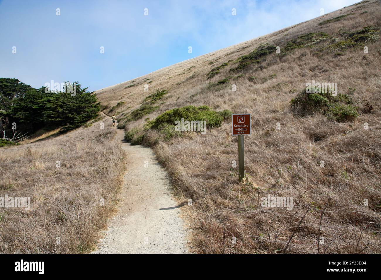 Point Reyes National Seashore is in Marin County on the Pacific coast of northern California in the United States. - Stock Image