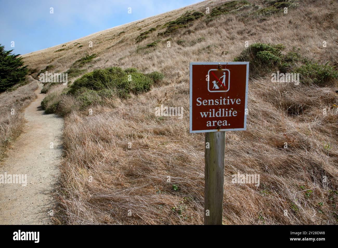 Point Reyes National Seashore is in Marin County on the Pacific coast of northern California in the United States. - Stock Image
