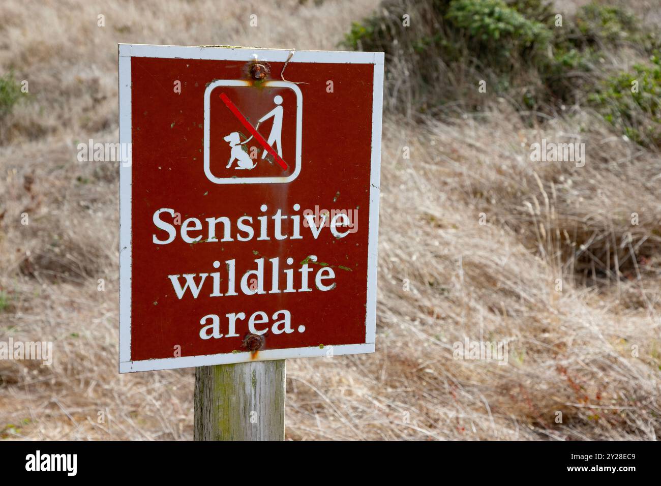 Point Reyes National Seashore is in Marin County on the Pacific coast of northern California in the United States. - Stock Image