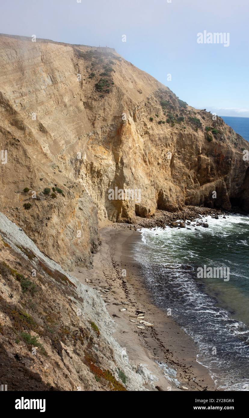 Point Reyes National Seashore is in Marin County on the Pacific coast of northern California in the United States. - Stock Image