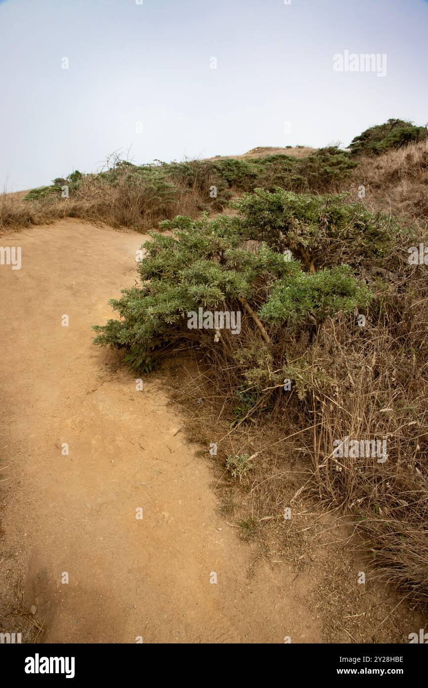 Point Reyes National Seashore is in Marin County on the Pacific coast of northern California in the United States. - Stock Image
