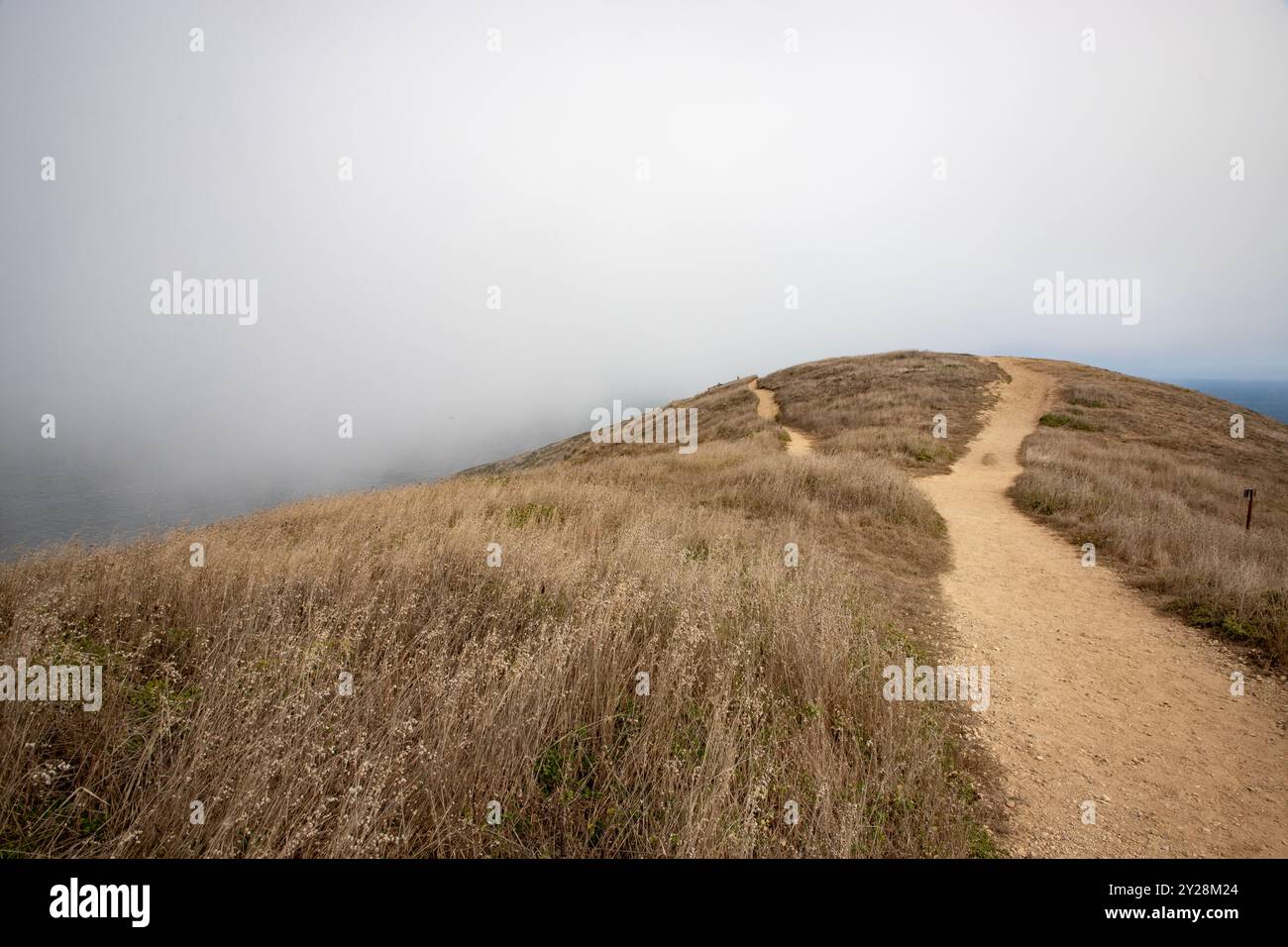 Point Reyes National Seashore is in Marin County on the Pacific coast of northern California in the United States. - Stock Image