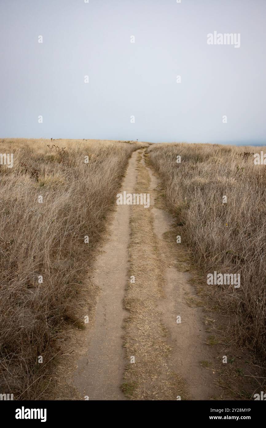 Point Reyes National Seashore is in Marin County on the Pacific coast of northern California in the United States. - Stock Image