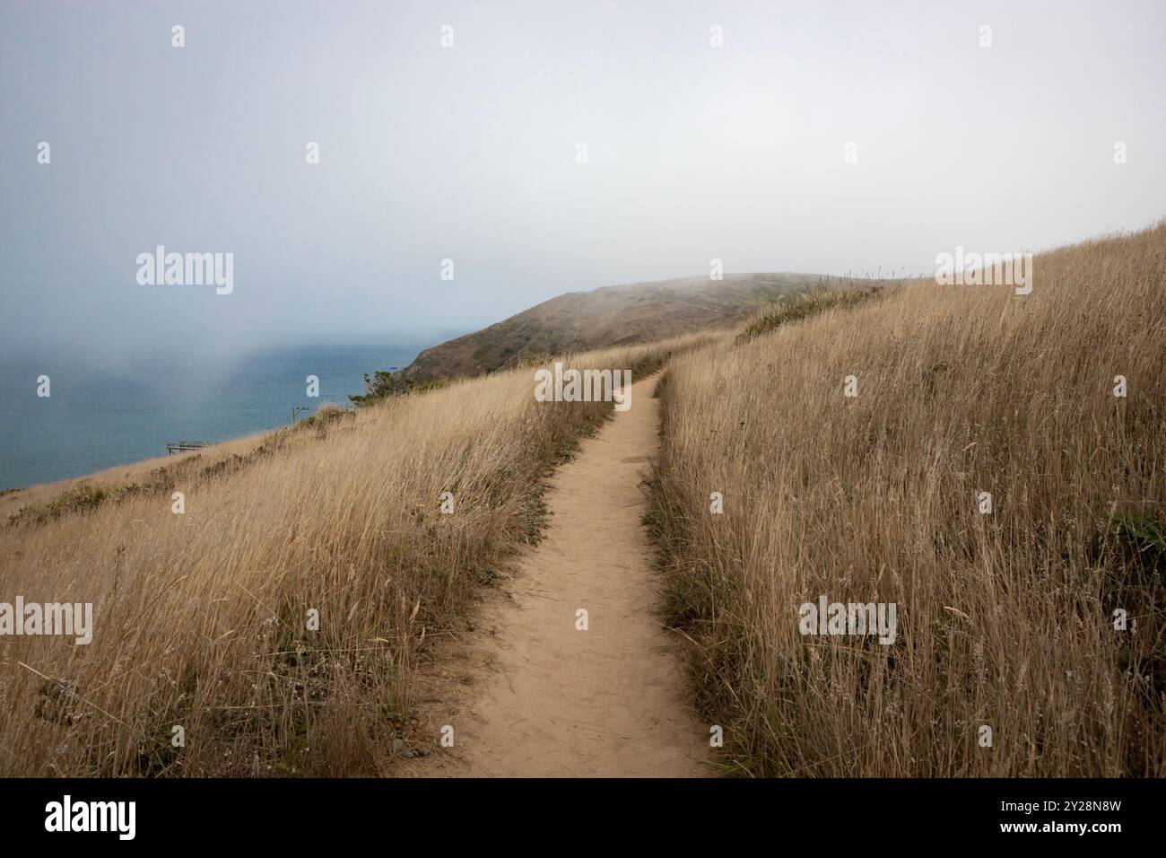 Point Reyes National Seashore is in Marin County on the Pacific coast of northern California in the United States. - Stock Image