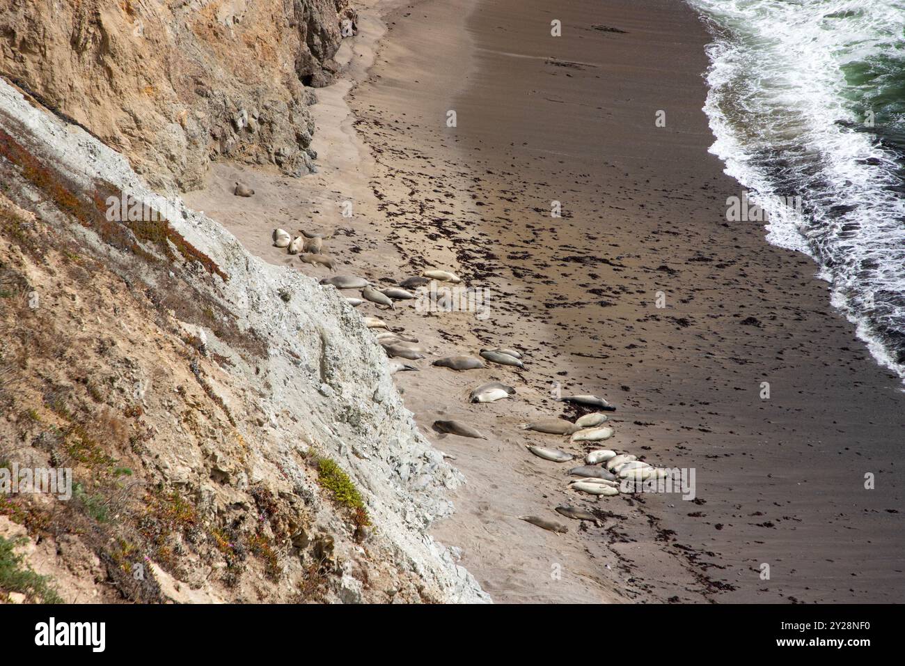 Point Reyes National Seashore is in Marin County on the Pacific coast of northern California in the United States. - Stock Image