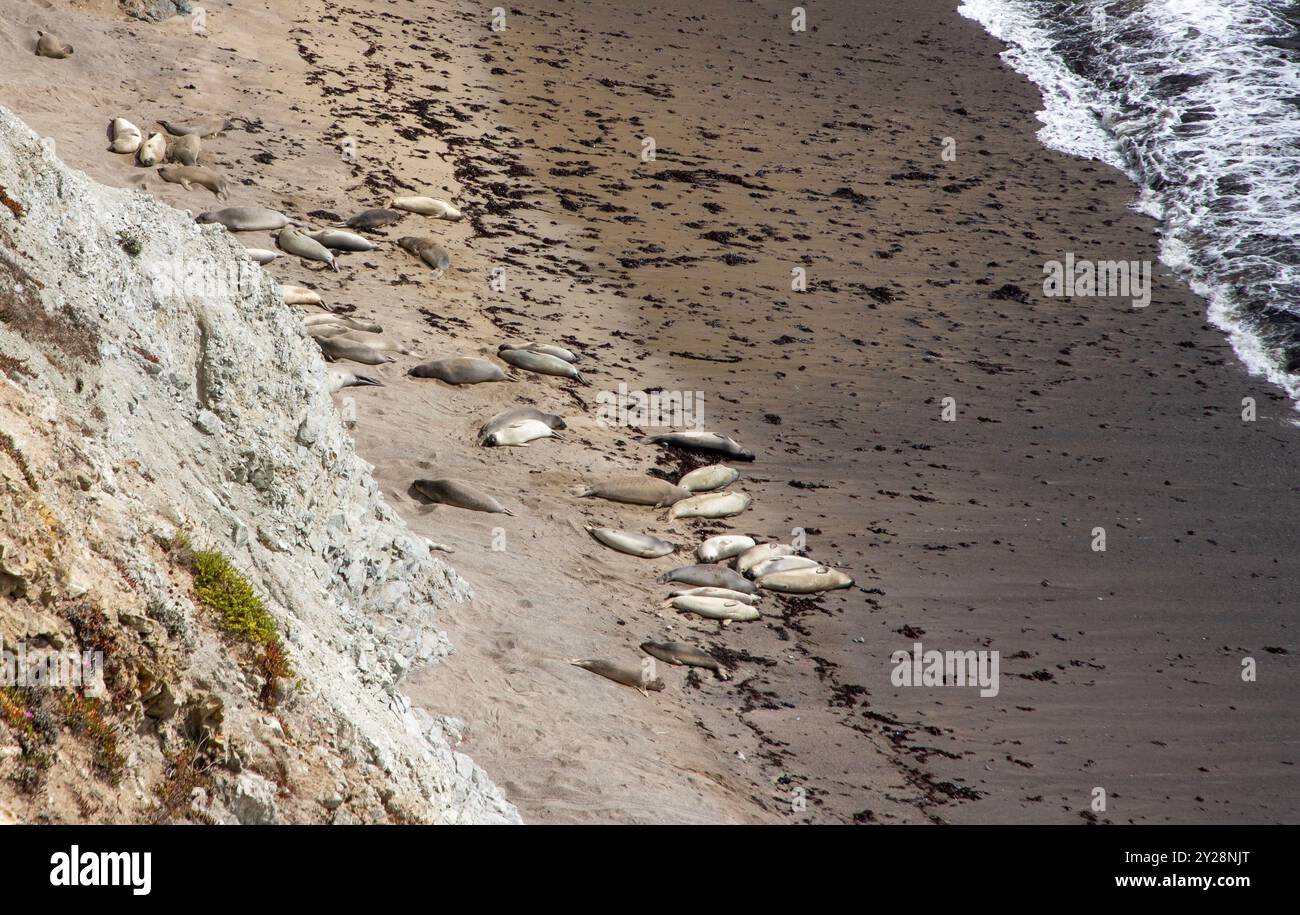 Point Reyes National Seashore is in Marin County on the Pacific coast of northern California in the United States. - Stock Image