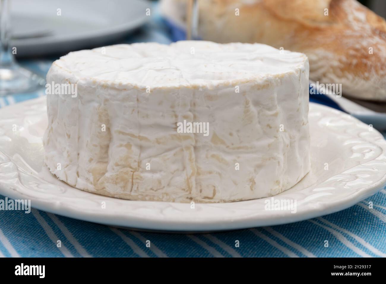 Lunch with french soft Camembert cheese, original Camembert de ...