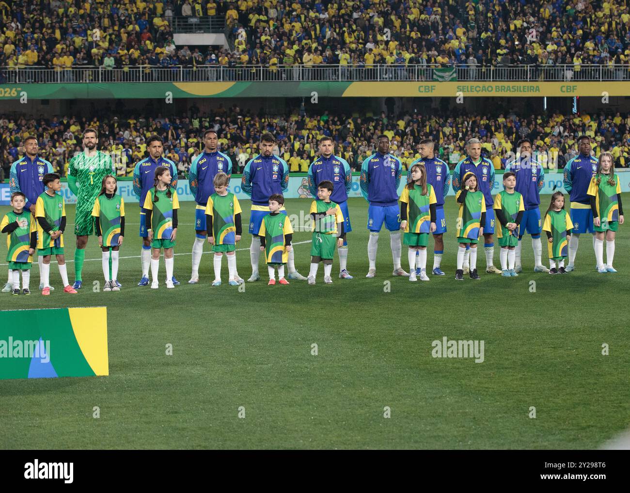 Brazil visual data 5