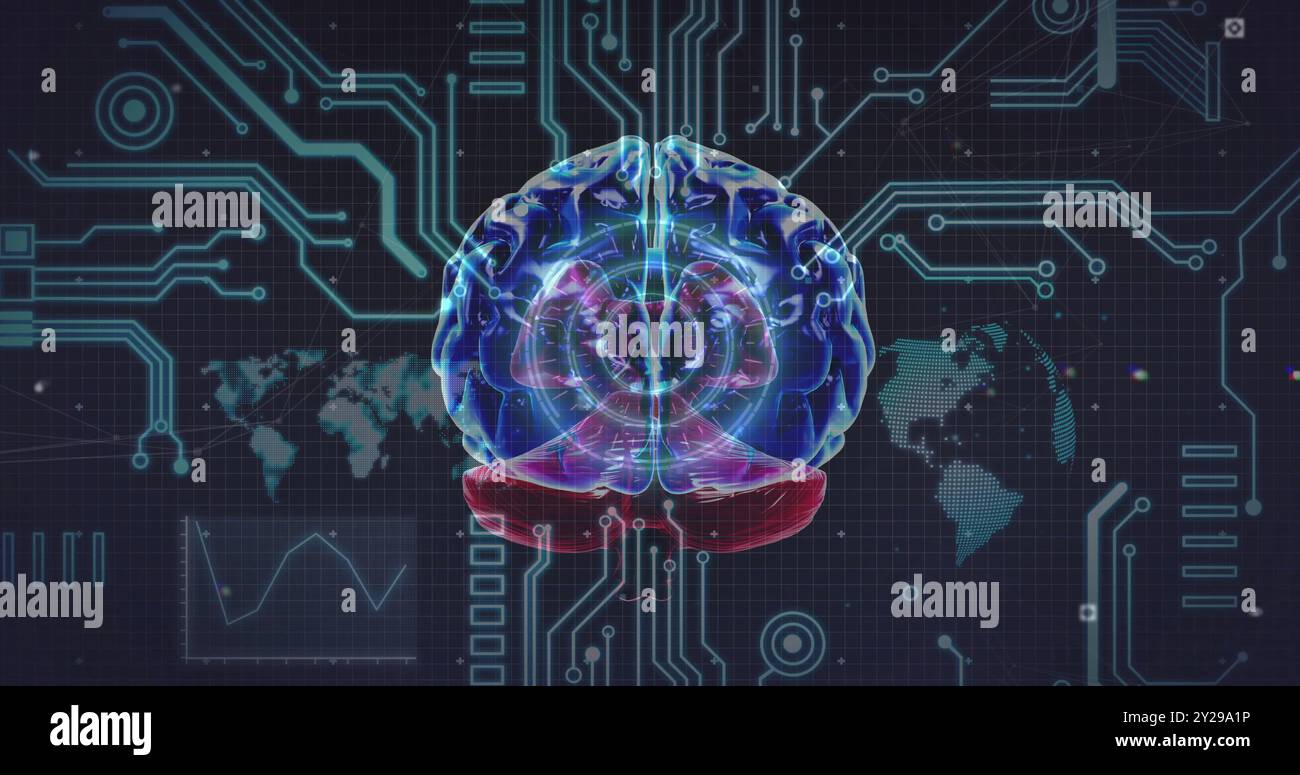 Image of human brain and circuit board over globe Stock Photo - Alamy