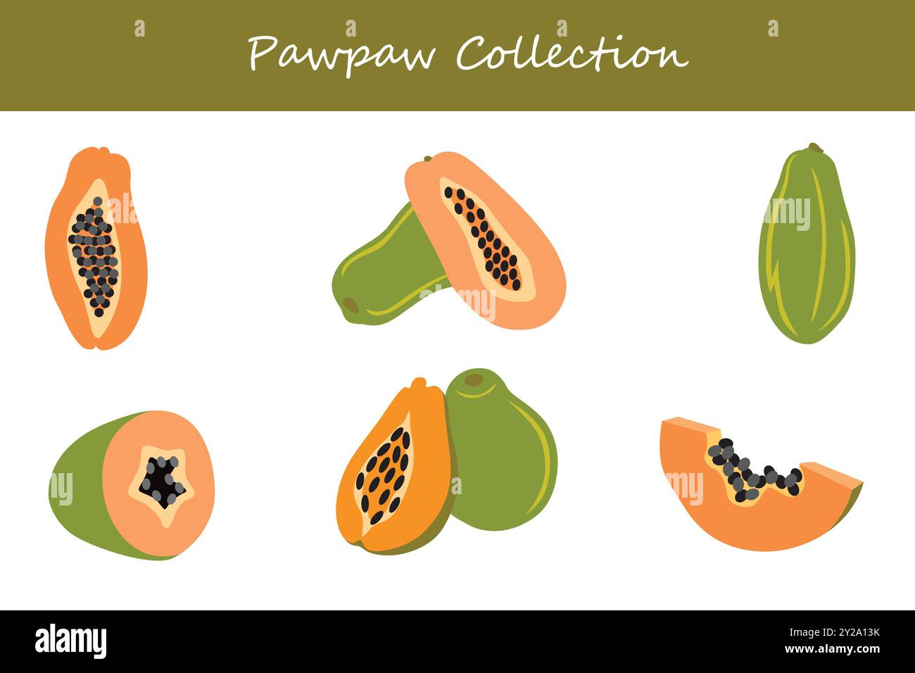 pawpaw collection in different poses. Vector illustration. Stock Vector