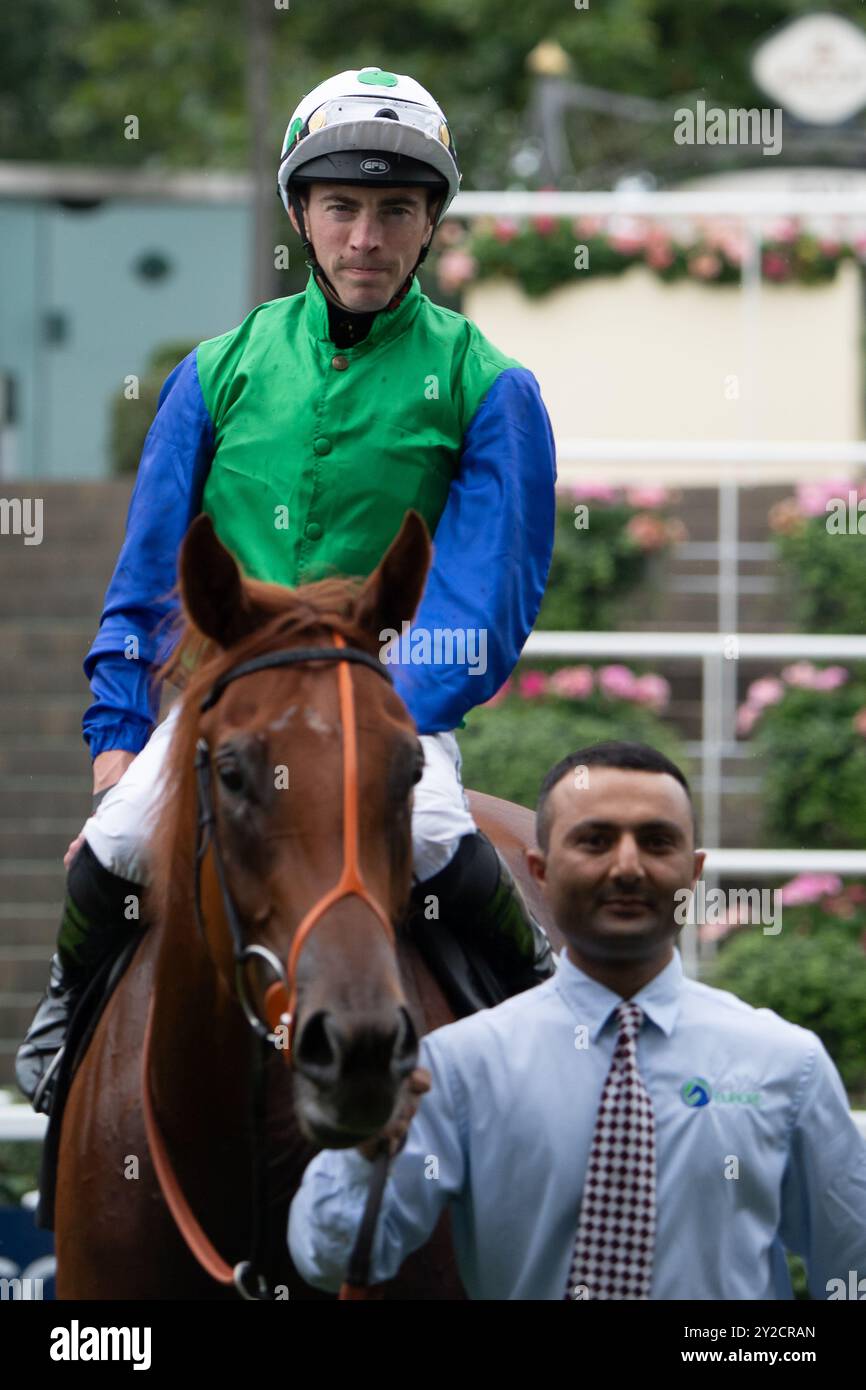 Ascot, Berkshire, UK. 7th September, 2024. LAW OF DESIGN ridden by jockey James Doyle wins the Tote co uk British EBF Novice Stakes (Class 2) (GBB Race) on Day Two of the Big Food and Drink Festival at Ascot Racecourse in Berkshire. Owner Manton Thoroughbreds IX, Trainer Brian Meehan. Credit: Maureen McLean/Alamy Stock Photo