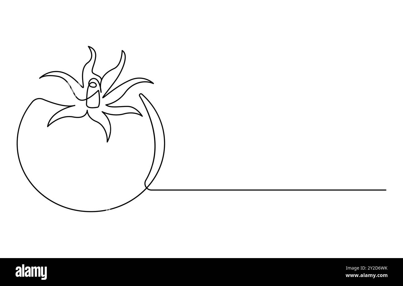 ripe fresh one tomato fruit vegetable line art, single line tomato icon ...