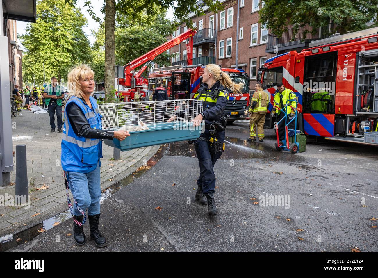 Piersonstraat Riots Nieuwe westen hi-res stock photography and images - Alamy