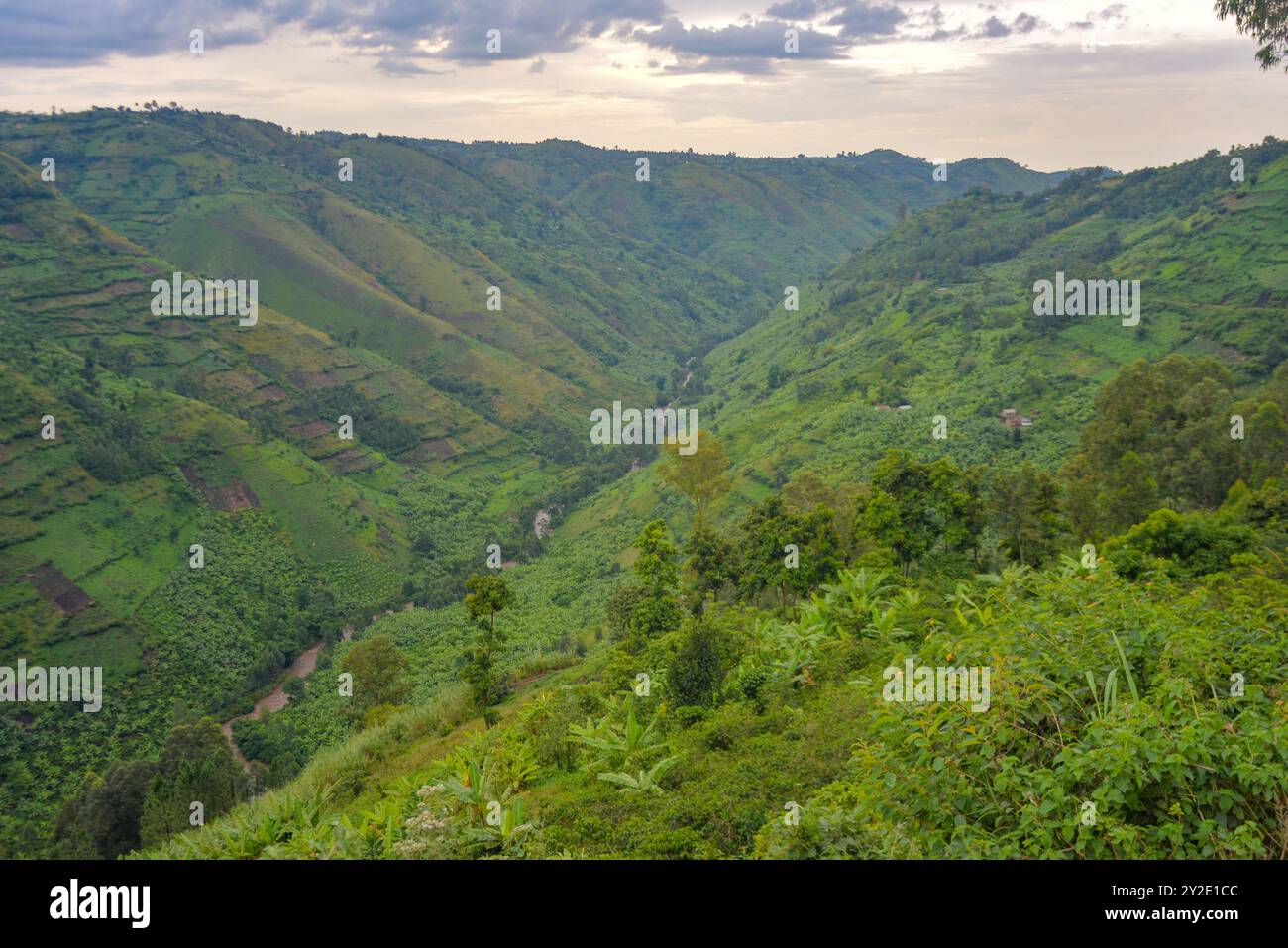 Enengo landscape uganda hi-res stock photography and images - Alamy