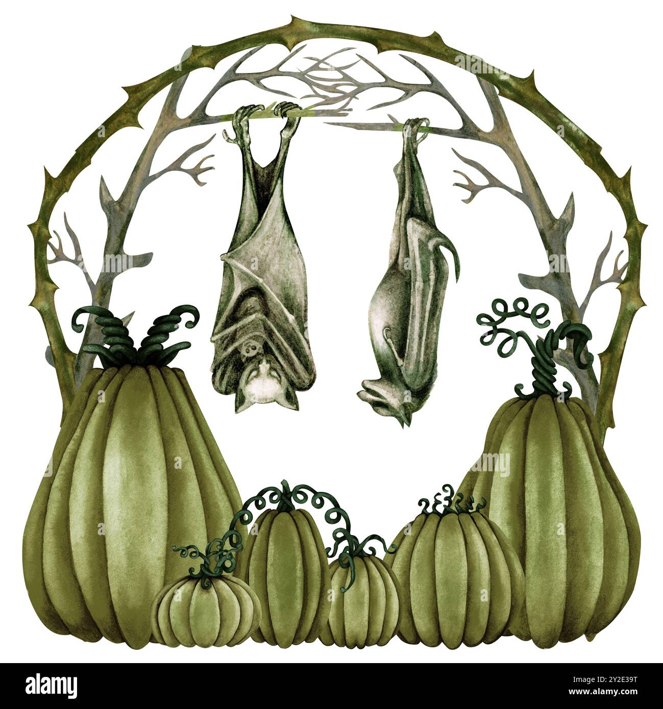 Green composition for Halloween with thorny branches, large pumpkins, sleeping bats. Monochrome watercolor illustration template for invitations, menu Stock Photo