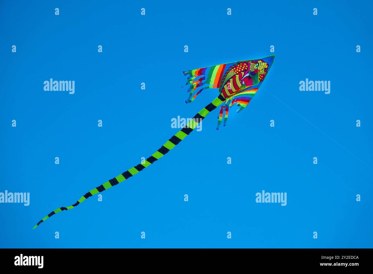 Rainbow Kite Flying in a Clear Blue Sky Stock Photo