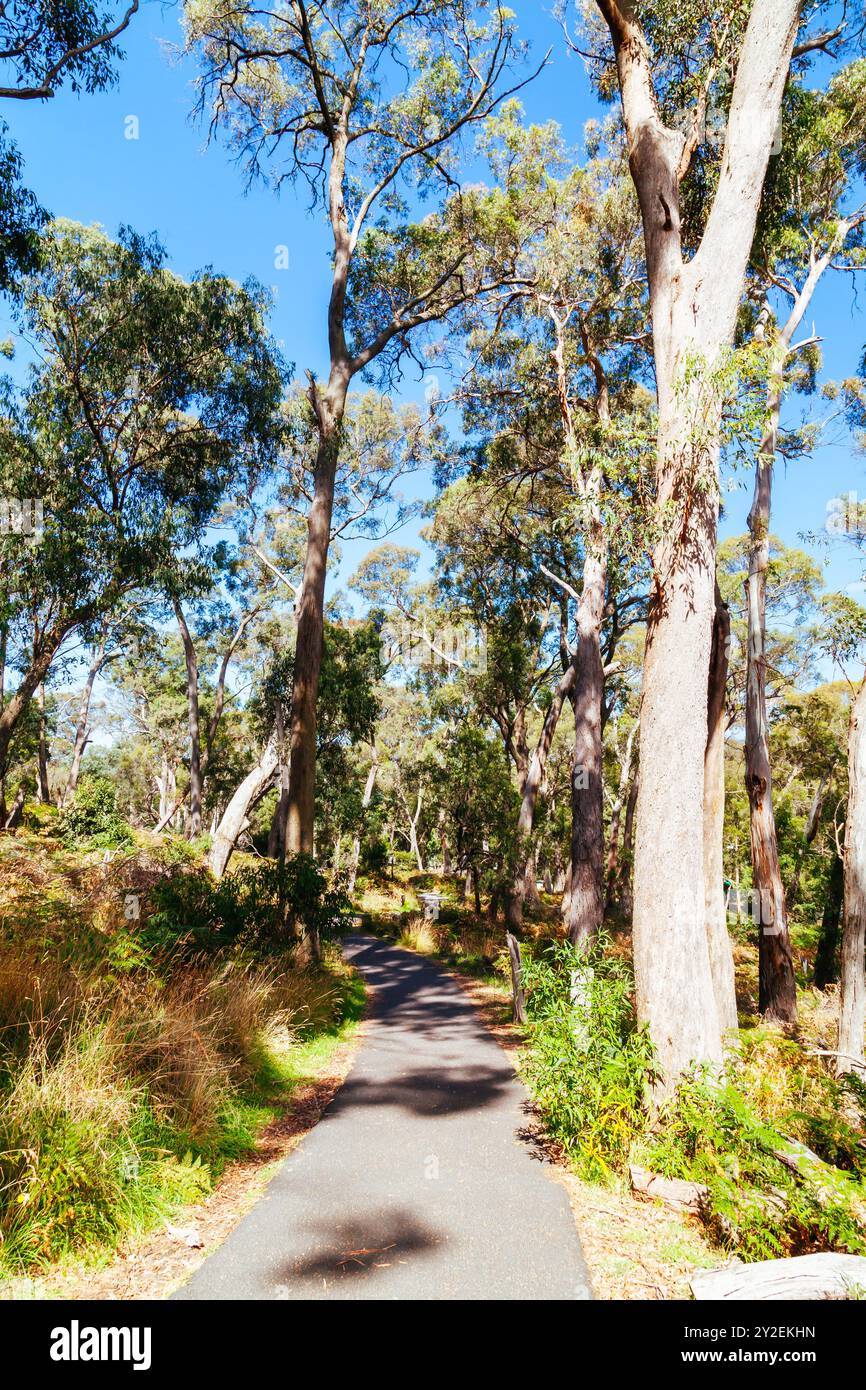 Hanging Rock in Macedon Ranges in Australia Stock Photo - Alamy