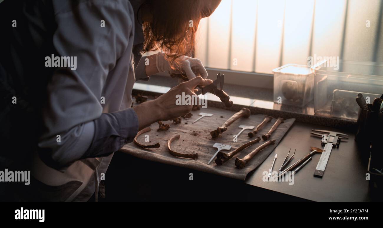 Scientist using tool measure hi-res stock photography and images - Alamy