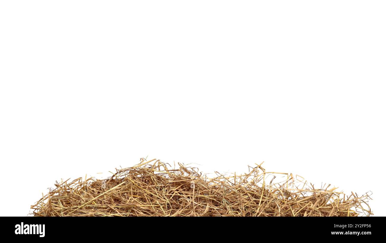 Straw Cut File cut out image of lump of dry straw with clipping paths, against white ...