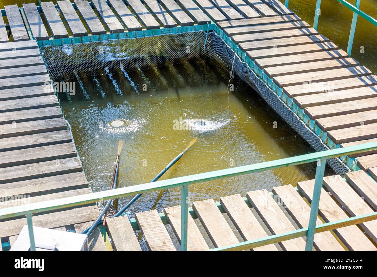 Fish feeding aerial view hi-res stock photography and images - Alamy