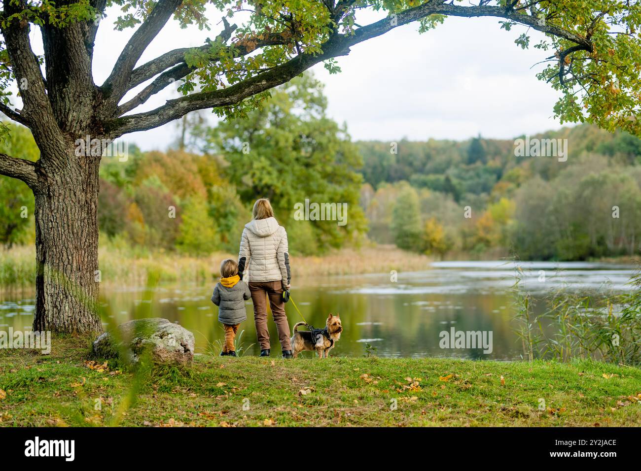 Mother and her little son walking their pedigreed Australian terrier dog in late autumn park. Fall portrait of black and sable tan purebred typical Au Stock Photo